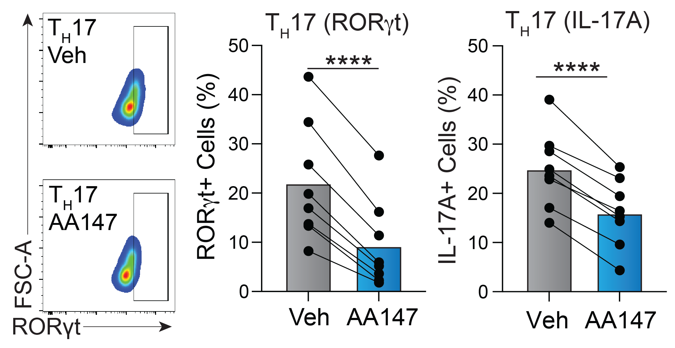 Key Figure